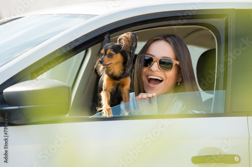 Naklejka Kobieta z psem w samochodzie