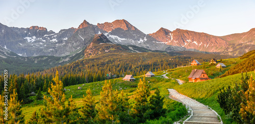 Naklejka panorama słońce natura ogród