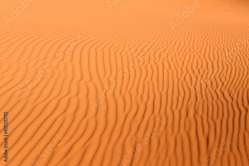 Obraz na płótnie wzór lato pustynia wydma