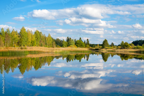 Fotoroleta las trawa jesień słońce niebo