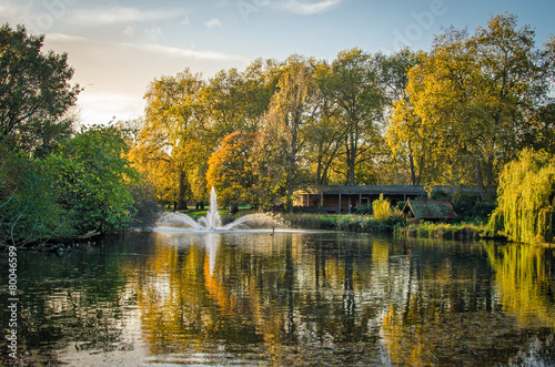 Naklejka wielka brytania natura roślinność anglia jesień