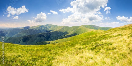 Naklejka niebo lato wiejski