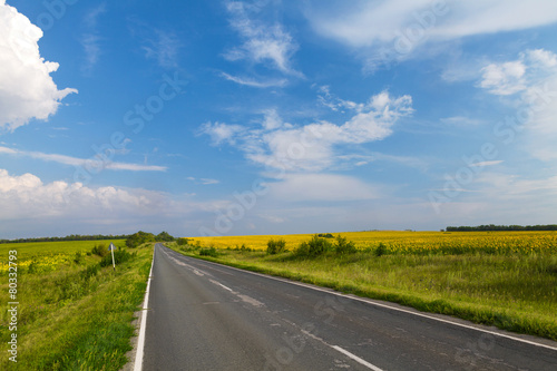 Fototapeta lato autostrada trawa