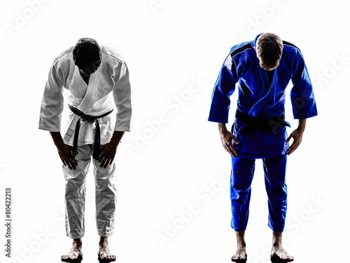 Obraz na płótnie sport sztuki walki mężczyzna pełnej długości