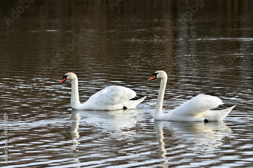 Fotoroleta natura piękny pejzaż