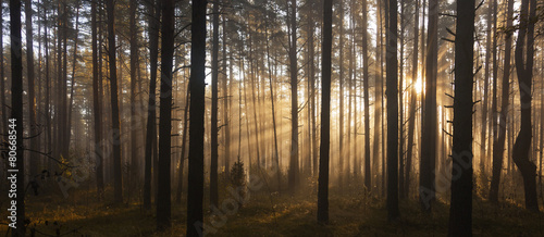 Fototapeta wieś świt słońce natura panorama