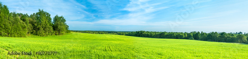 Plakat drzewa pole natura trawa piękny