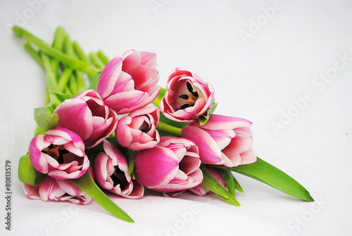 Fotoroleta vintage tulipan kwiat