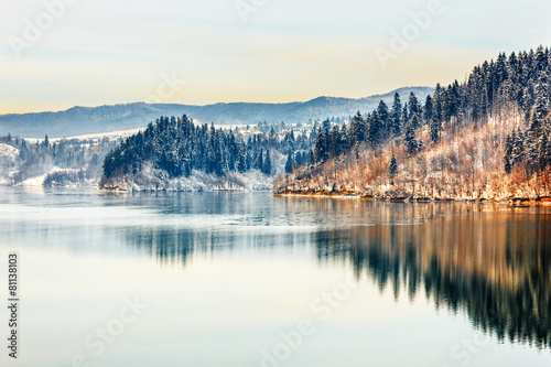 Fotoroleta sosna las panorama śnieg