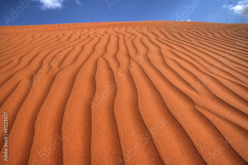 Obraz na płótnie natura pustynia wydma panoramiczny wzór