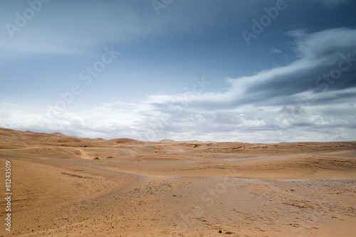 Obraz na płótnie wydma panorama arabian widok