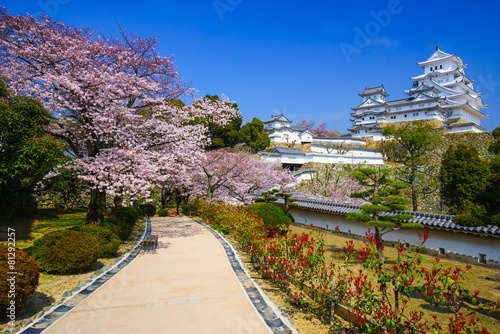 Plakat zamek wiśnia pejzaż architektura japonia