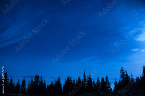 Obraz na płótnie zmierzch niebo las galaktyka