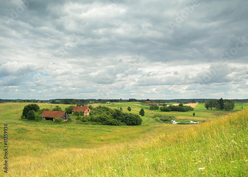 Naklejka kwiat łąka wzgórze wiejski koń