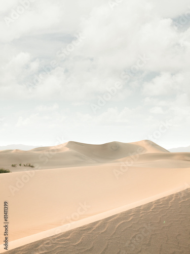 Obraz na płótnie pejzaż pustynia wzgórze lato
