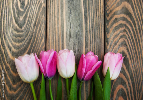 Obraz na płótnie tulipan kwiat kwitnący natura