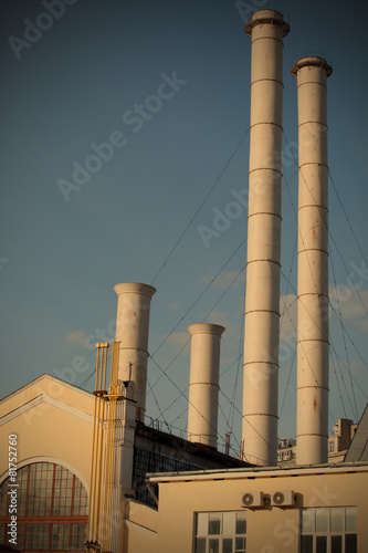 Plakat roślina niebo architektura obraz lato