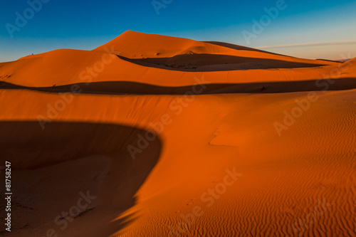 Naklejka safari pustynia pejzaż wydma