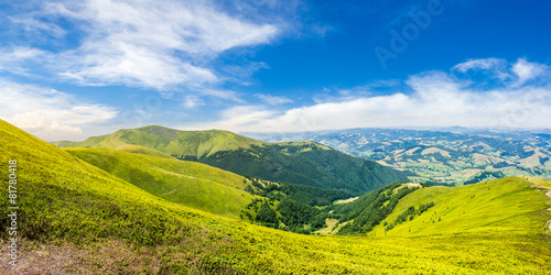 Fotoroleta drzewa natura góra panorama