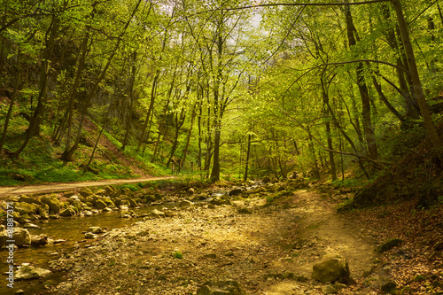 Fototapeta park dolina widok natura