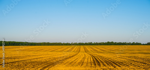 Naklejka pole słoma wiejski panorama łąka
