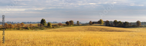 Obraz na płótnie dolina wieś las pole panoramiczny