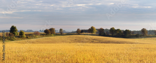 Plakat dolina niebo drzewa rolnictwo jesień