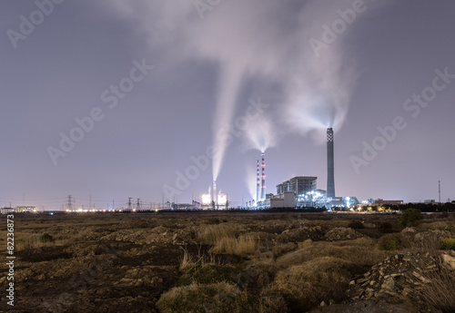 Fotoroleta roślina niebo noc wieża