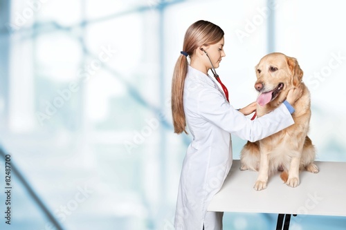 Obraz na płótnie uśmiech pies ludzie zwierzę zdrowie