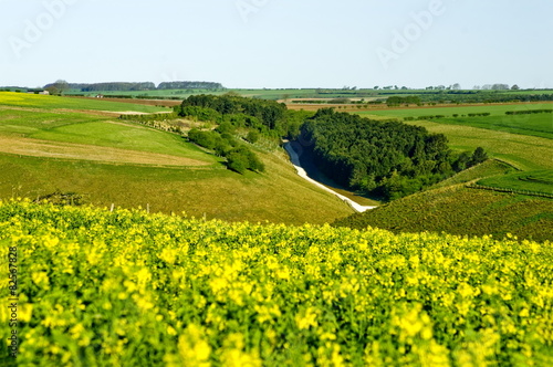 Naklejka pejzaż pole rolnictwo wieś