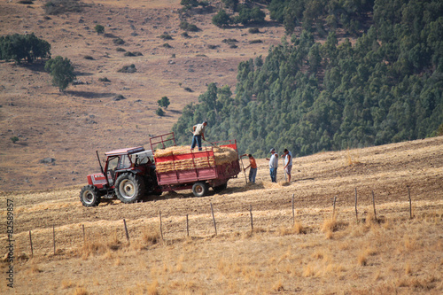 Fotoroleta trattore agricolo