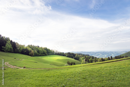 Naklejka Wiesen in der Südsteiermark