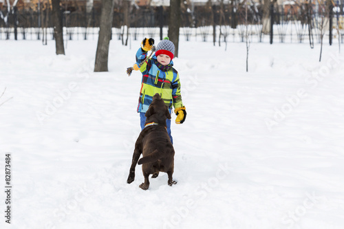 Naklejka Chłopiec bawi się z psem na śniegu