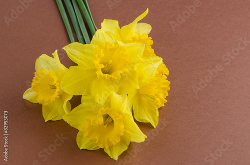 Obraz na płótnie Jonquil flowers