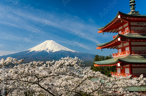 Fotoroleta Mount Fuji with pagoda and cherry trees, Japan