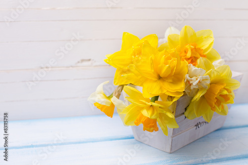 Obraz na płótnie Background with fresh narcissus in wooden pot