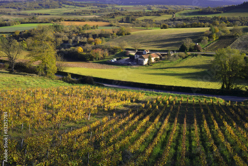 Naklejka wiejski natura winorośl