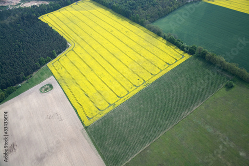 Obraz na płótnie rolnictwo pole natura