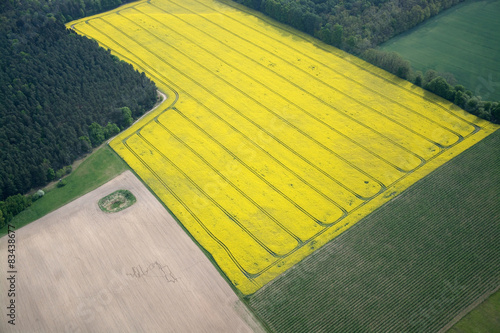 Naklejka rolnictwo krajobraz drzewa natura pole