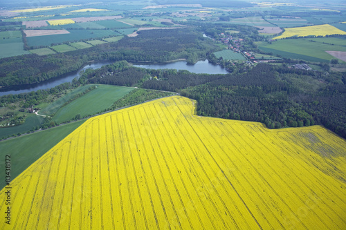 Naklejka kwiat drzewa natura pole