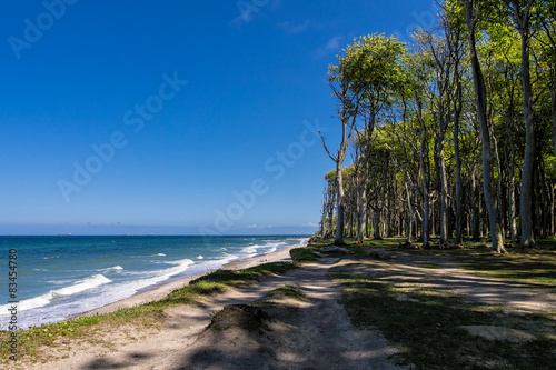 Naklejka droga plaża woda wybrzeże