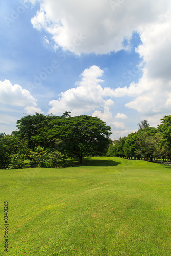 Plakat park lato niebo natura