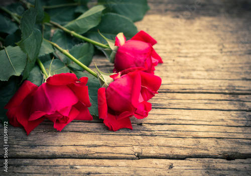 Obraz na płótnie ogród kwiat miłość lato bukiet