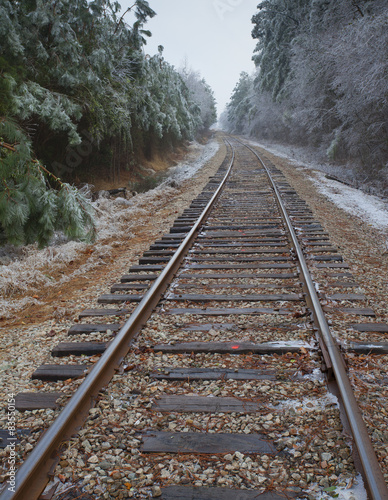 Fotoroleta lód drzewa las zimą drewno