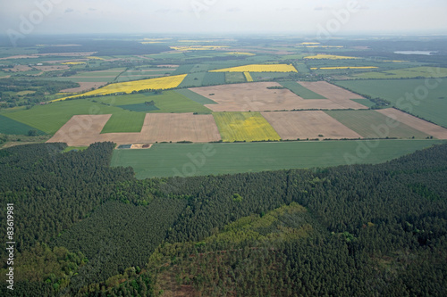 Naklejka krajobraz trawa pole natura