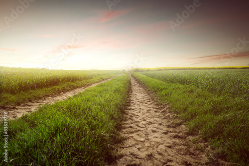 Naklejka Country Road