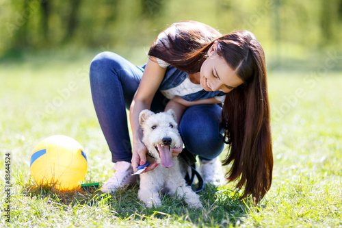 Fotoroleta piękny park pies lato