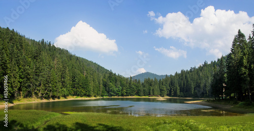 Fotoroleta natura góra las