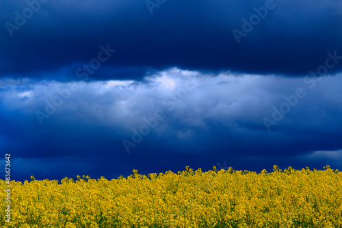 Plakat niebo wejście rolnictwo kwiat