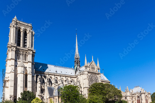 Fotoroleta Notre Dame in Paris